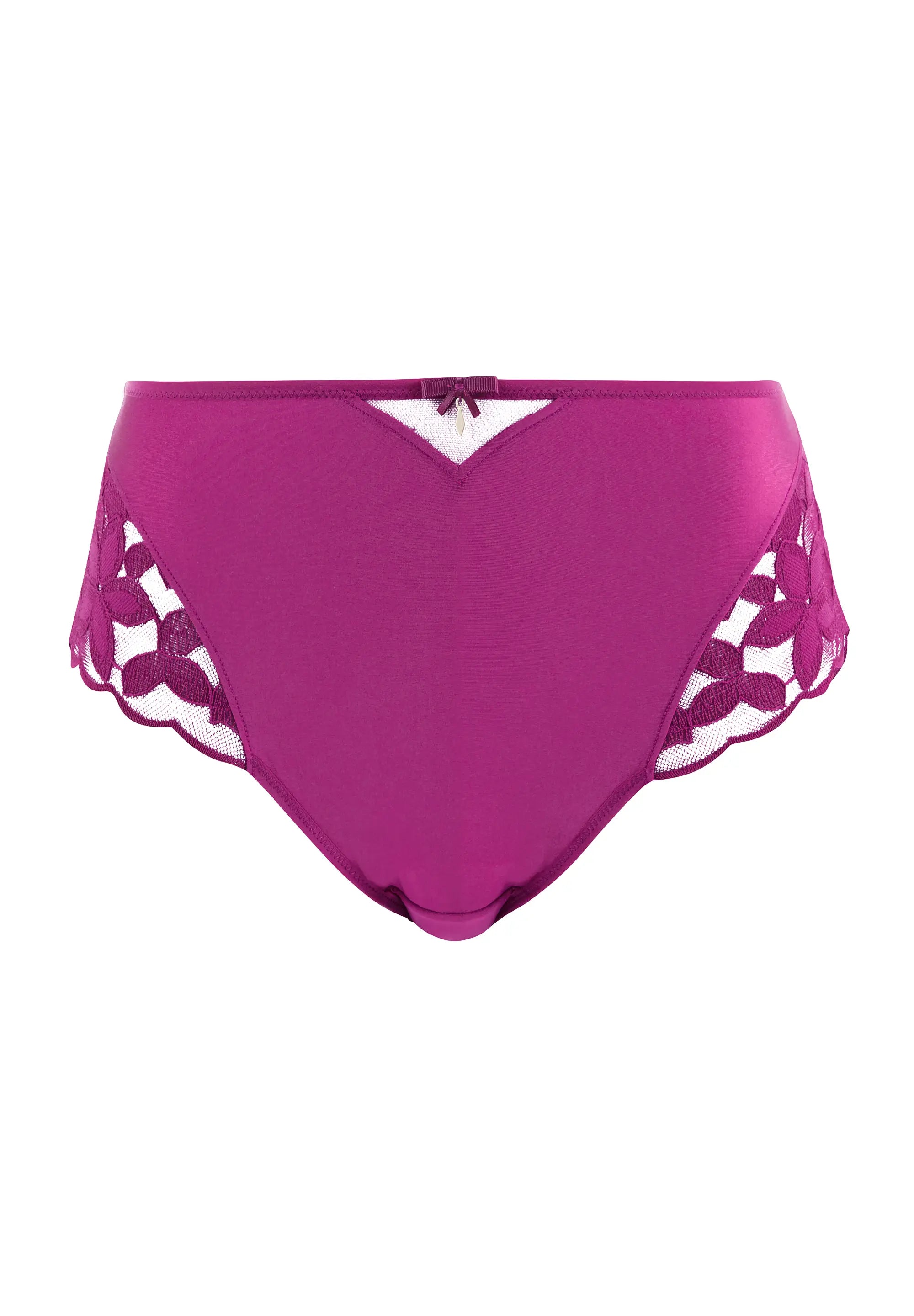 Hoge Taille Slip Salom� Bessenpaars