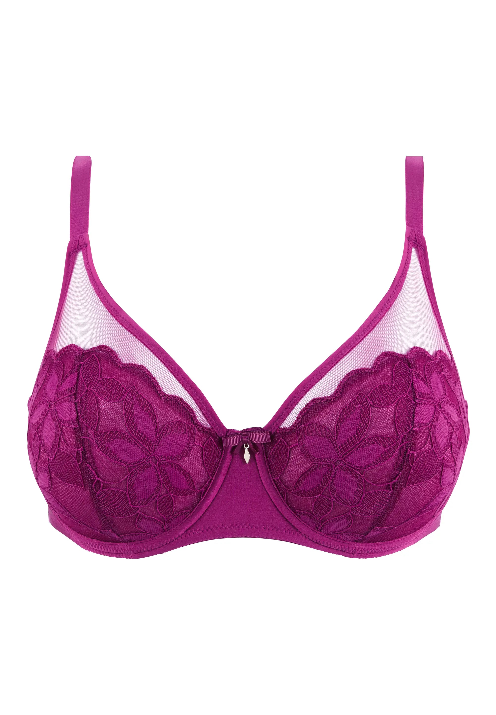 Volle cup BH Salom� Bessenpaars